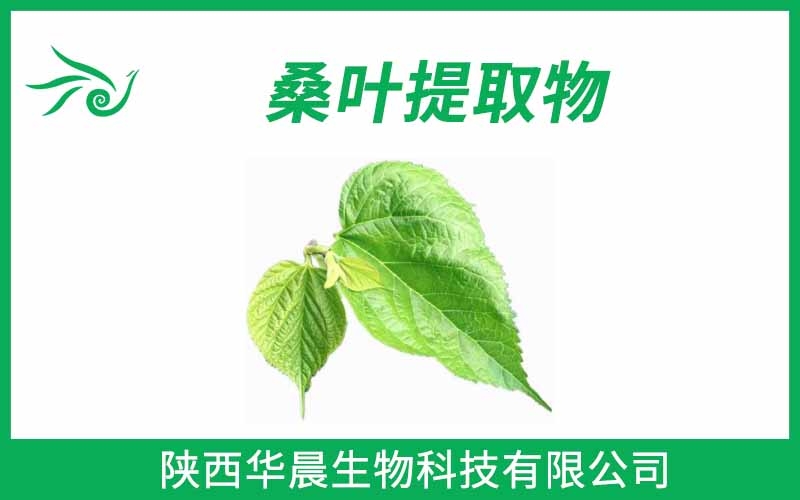 桑葉提取物 脫氧野尻霉素