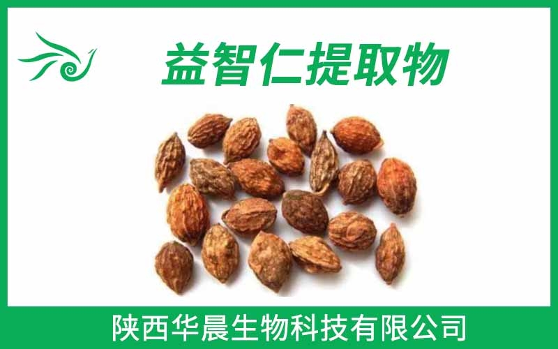 益智仁提取物