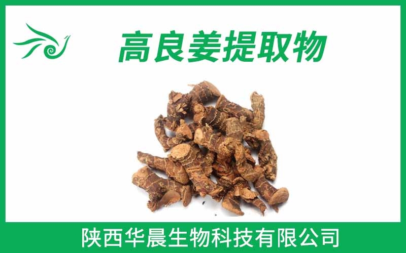 高良姜提取物
