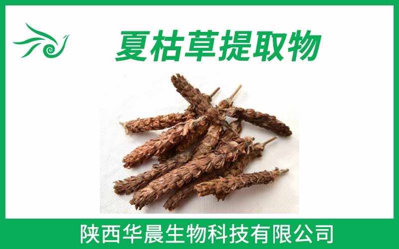 夏枯草提取物