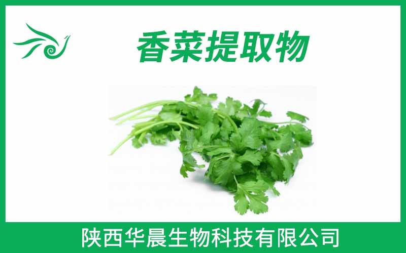 香菜提取物、芫荽提取物